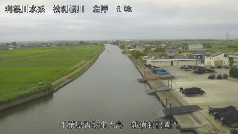 yoko2026062406_image