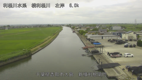 yoko2026062407_image