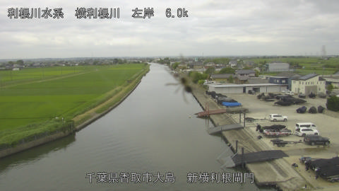 yoko2026062408_image