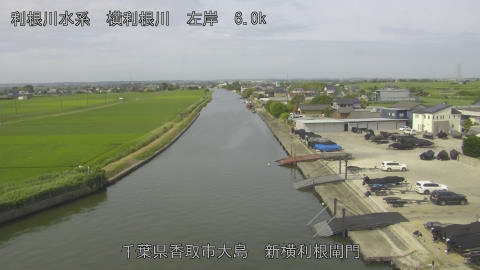 yoko2026062409_image