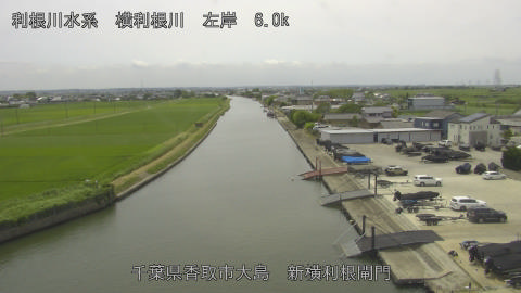 yoko2026062412_image