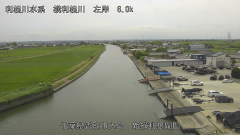 yoko2026062413_image