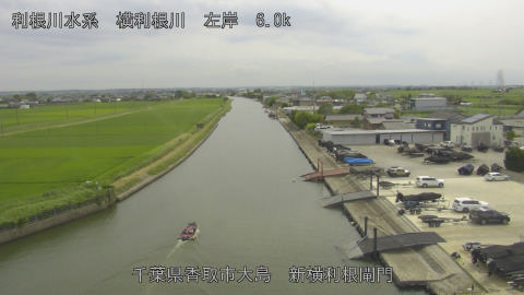 yoko2026062415_image