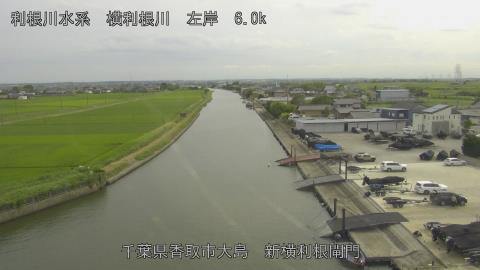 yoko2026062416_image