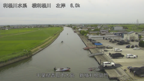 yoko2026062417_image