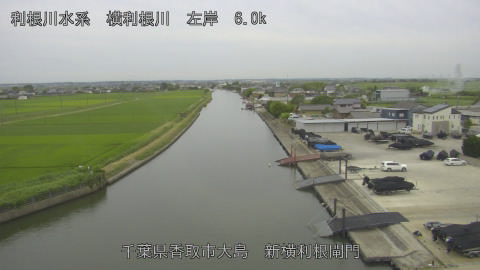 yoko2026062418_image