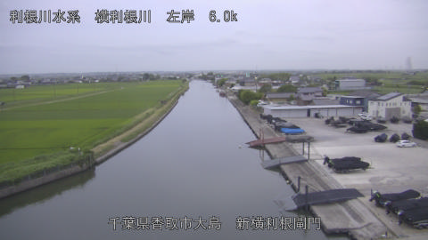 yoko2026062419_image