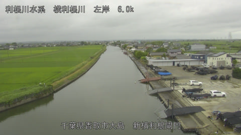yoko2026062512_image