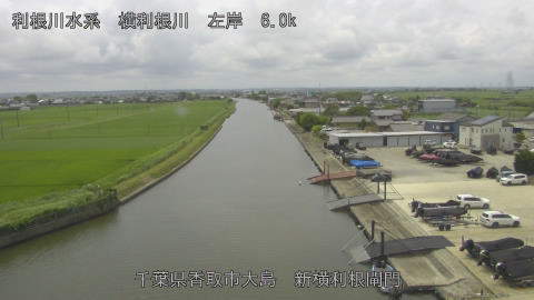 yoko2026070312_image