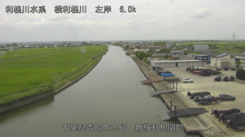 yoko2026070612_image