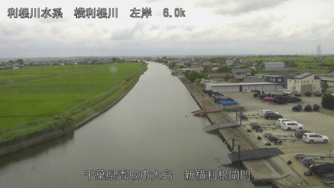 yoko2026070712_image