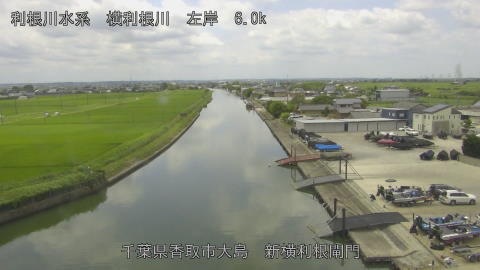 yoko2026070912_image