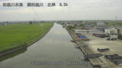 yoko2026071312_image