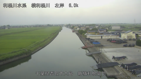 yoko2026071405_image