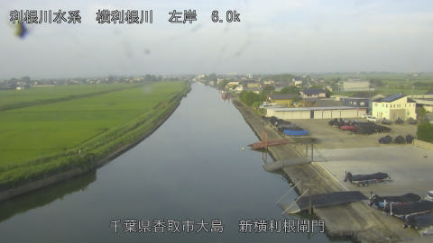 yoko2026071406_image