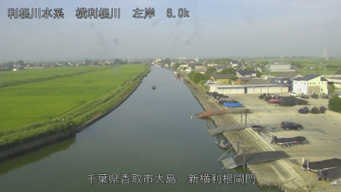 yoko2026071407_image