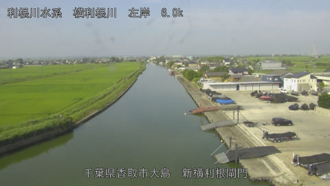 yoko2026071408_image
