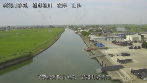 yoko2026071409_image