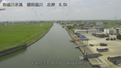 yoko2026071411_image
