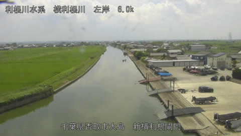 yoko2026071413_image