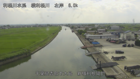 yoko2026071414_image