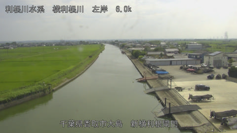 yoko2026071415_image