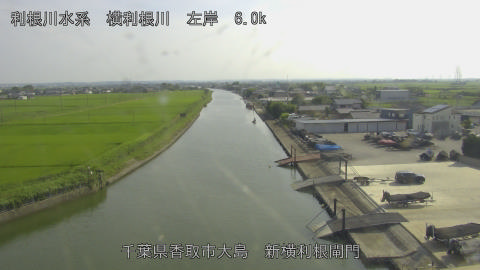 yoko2026071416_image