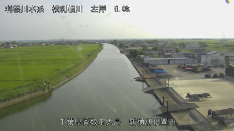 yoko2026071417_image