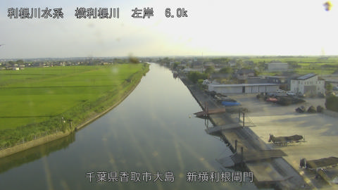 yoko2026071418_image