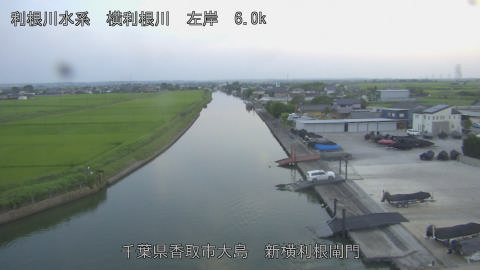 yoko2026071419_image