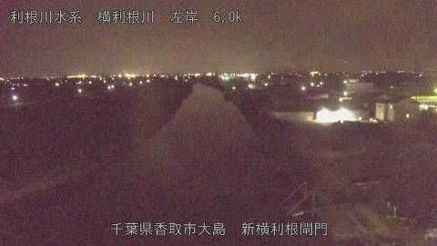 yoko2026071421_image