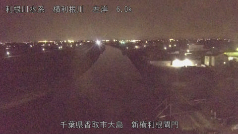 yoko2026071422_image