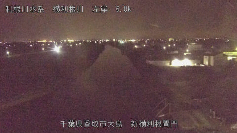 yoko2026071423_image