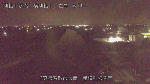 yoko2026071501_image