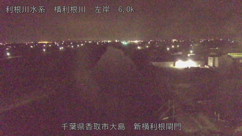 yoko2026071503_image