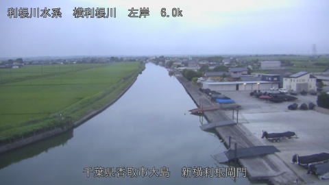 yoko2026071505_image