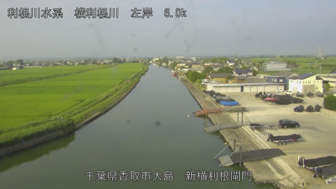 yoko2026071507_image