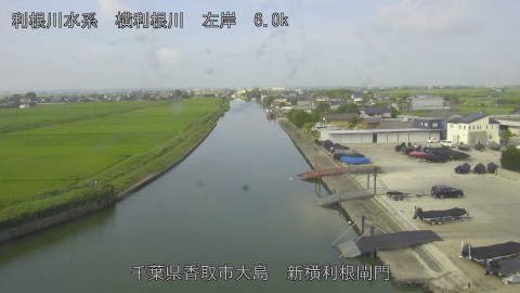 yoko2026071508_image