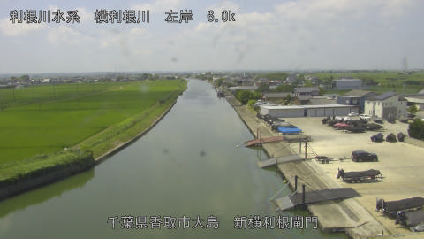 yoko2026071511_image