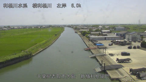 yoko2026071513_image