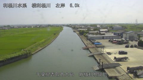 yoko2026071514_image