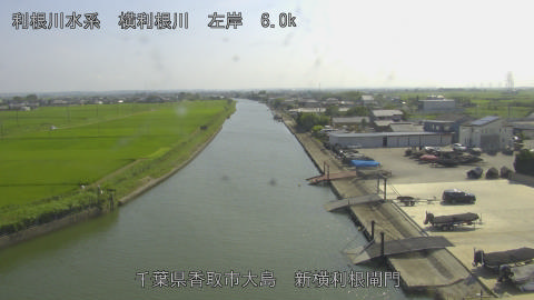 yoko2026071515_image