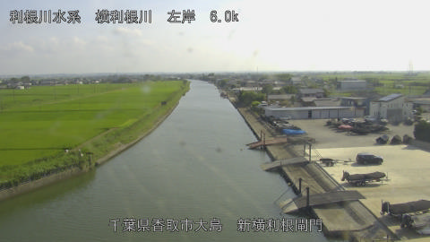 yoko2026071516_image