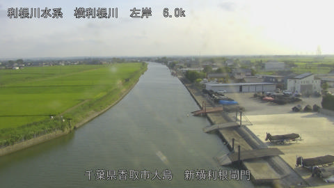 yoko2026071517_image