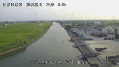 yoko2026071518_image