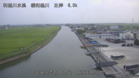 yoko2026071519_image