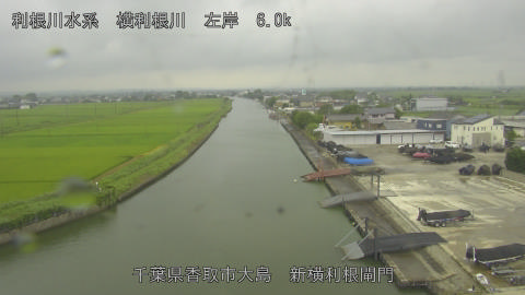 yoko2026071712_image