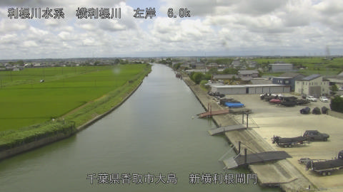 yoko2026071812_image