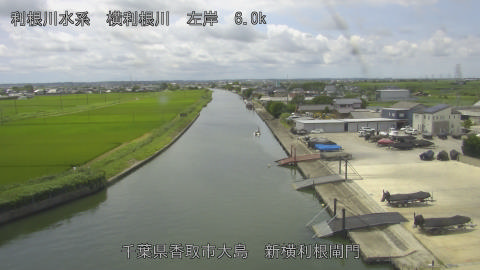 yoko2026071912_image