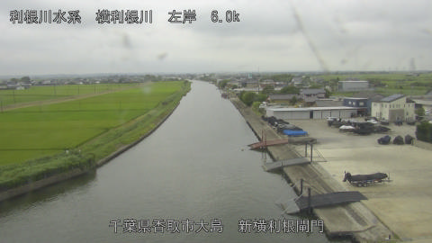 yoko2026072412_image